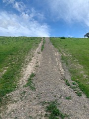 Obraz premium road in the field