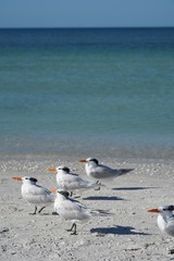 Summer day at the beach