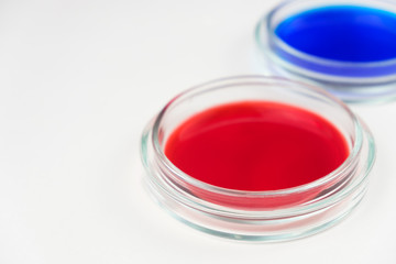 two cups of petri dishes with colored liquid