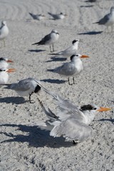 Summer day at the beach