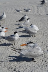 Summer day at the beach