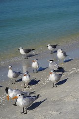 Obraz premium Summer day at the beach