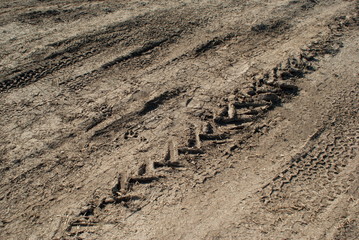 tire tracks in the sand