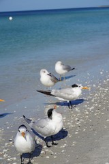 Summer day at the beach