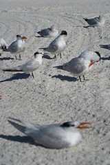Summer day at the beach
