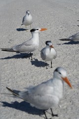 Summer day at the beach