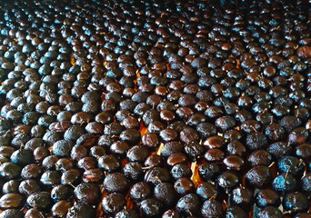 Half-dried plums on a wooden stand, the plums are stacked side by side.