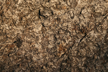 beautiful stone texture