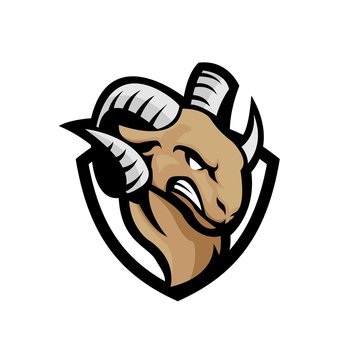 masculine angry horned goat head vector illustration design