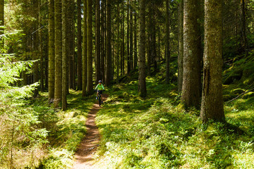 Young boy cycling mountainbike in forest, Sweden