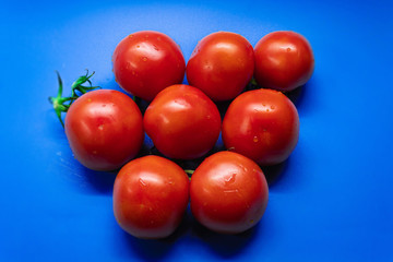 Red tomatoes on a green branch lie on a blue background in the center. There are only eight tomatoes. On some branches the tomato is missing