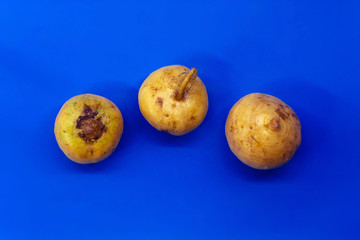 On a blue background in the center are three fresh and useful small turnips