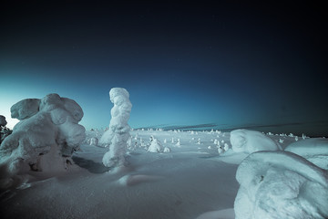 Lapland landscape