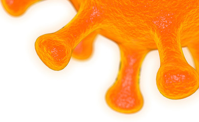 Coronavirus Covid-19 virus close up 3d rendering