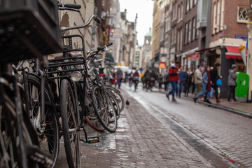 many bikes on the streets of amsterdam