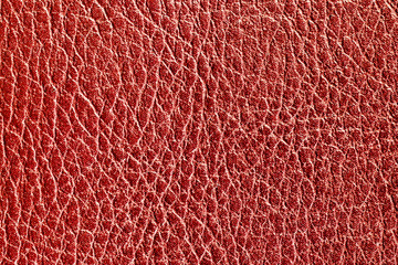 Red leather texture. Macro fashion background. Jacket closeup backdrop. Grunge artificial pattern.