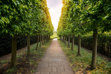 Fototapeta na wymiar Empty narrow path lined with trees and hedges in public park on a spring day