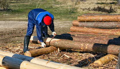 Man removes bark from a pine