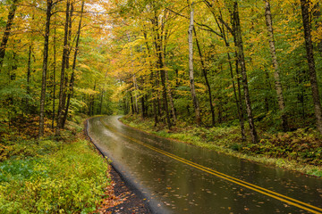 Deserted mountain road through a forest at the peak of fall foliage on a rainy day