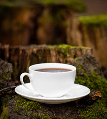 A cup of tea in the natural forest