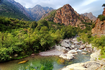 Fototapeta na wymiar River and canyon of Asco in Corsica imountain
