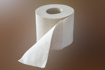 Roll of plain toilet paper