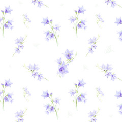 bluebell on white background