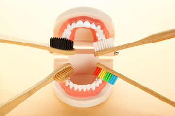 Teeth model with toothbrushes on beige background