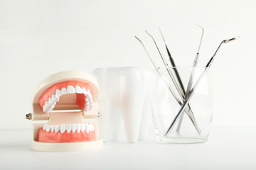 Teeth models with dental instruments on grey background