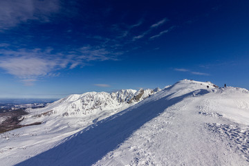 Obraz premium Widoki na Tatry w okolicach Zakopanego (Polska)