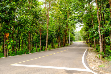 Obraz premium Single road in upcountry with nature beside