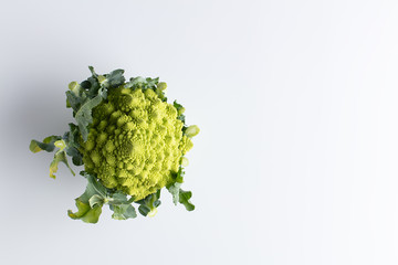 Romanesco cauliflower on white background