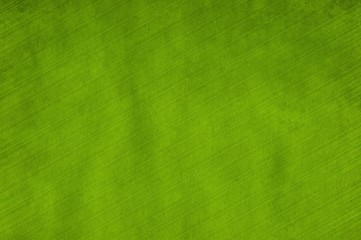 green color of paper background