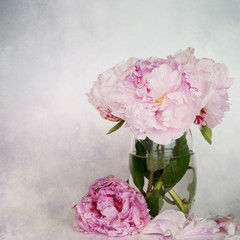 Peonies flower