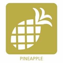 A pineapple icon