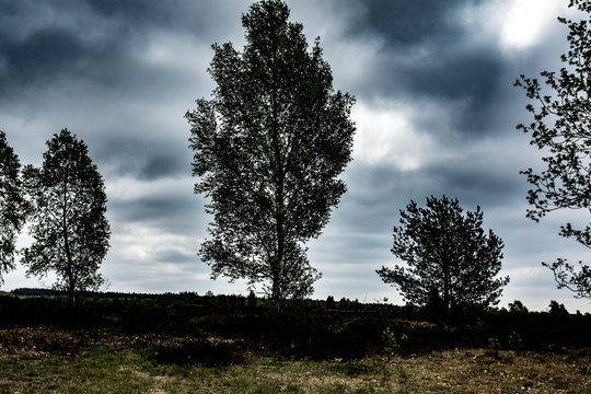 still standing here - Powered by Adobe