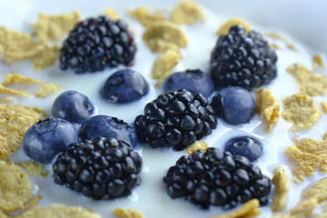 Tasty homemade berries and oats, Healthy breakfast.