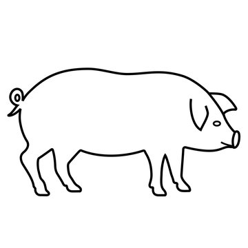 Pig outline icon