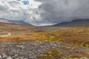 Mountain landscape with cotton-grass in Sweden national park Sarek around the Royal track in stormy weather. selective focus