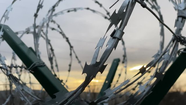 Razor barbed wire on welded panels at dawn close-up.