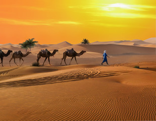 Fototapeta na wymiar Scenic view of a caravane crossing Sahara desert with orange sand and dunes at sunset near Merzouga village in Morocco