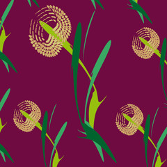 Abstract flowers. Dandelions on a purple background