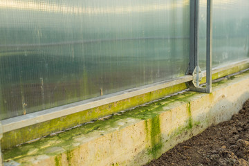 green mold fungus on the walls of the greenhouse, soil ready for planting, empty garden gardening...