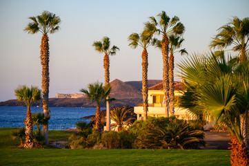 Fototapeta premium View on evergreen grass field on large golf course and blue Atlantic ocean on Tenerife island, Canary, Spain