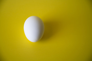white egg on yellow background