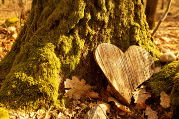 funeral Heart sympathy or wooden funeral heart near a tree. Natural burial grave in the forest....