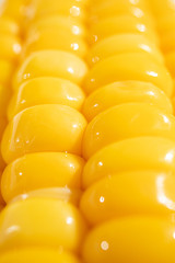 Corn kernels on the cob close-up. Detailed macro photo. The concept of healthy food, vegetarianism, cooking corn.