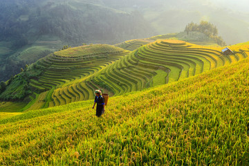 Mu Cang Chai is prachtige en pittoreske plekken op aarde. Vietnam