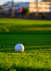 Excellent well-kept green grass lawn on large golf course, green section with big white foam ball for beginners on Tenerife island, Canary, Spain