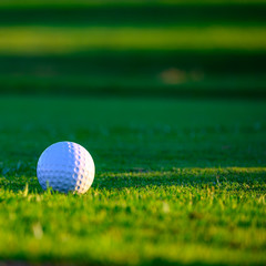 Excellent well-kept green grass lawn on large golf course, green section with big white foam ball for beginners on Tenerife island, Canary, Spain